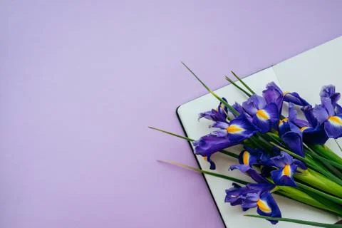 Notebook with violet flowers Stock Photos