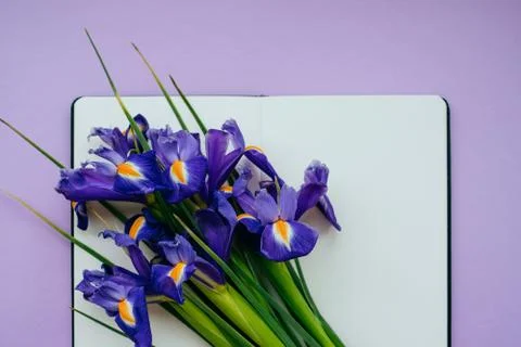 Notebook with violet flowers Stock Photos