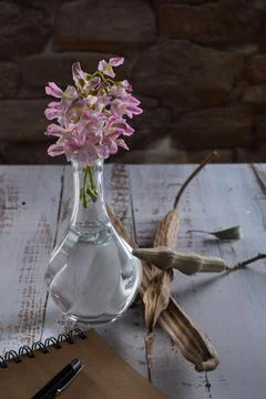 Notebook on white table buisness style o meditation Stock Photos