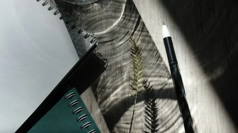 Notebooks, pen and hard shadow of glass vase. Workplace, Vidéo 161668789
