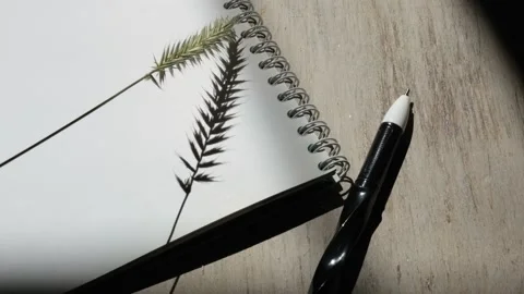 Notebooks, pen and hard shadow of glass vase. Workplace, Vidéo 161677527
