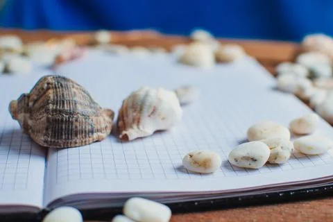 Notepad around him shells Stock Photos