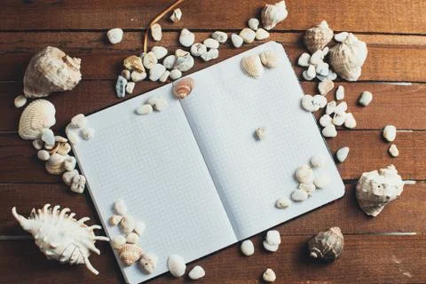 Notepad around him shells Stock Photos