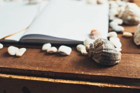 Notepad around him shells Stock Photos