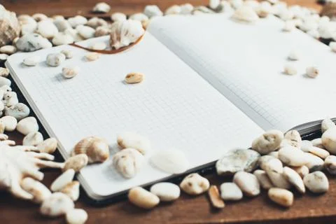 Notepad around him shells Stock Photos