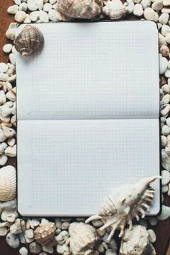 Notepad around him shells Stock Photos