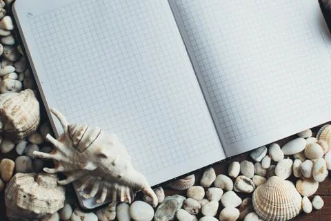 Notepad around him shells Stock Photos