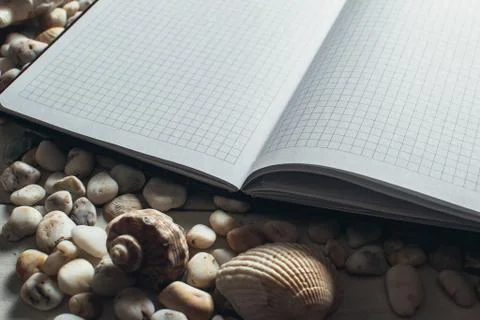 Notepad around him shells 写真素材