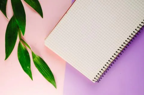 Notepad blank for a personal diary. workplace . minimalism. view from above.  Fotos Stock