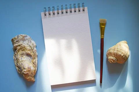 Notepad, brush and seashells on blue background for mockup Stock Photos