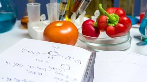 Notepad with the chemical formulas of additives E, test tubes and syringes ne Stock Photos