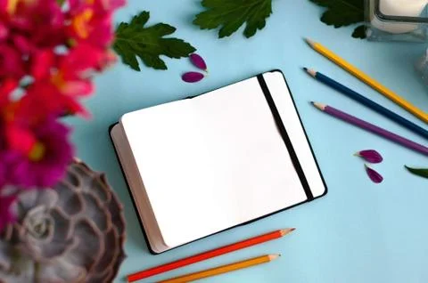 Notepad on color background Stock Photos