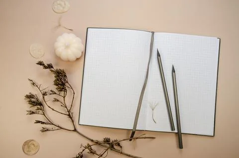 Notepad copyspace and gray pencils on tan begie background Stock Photos