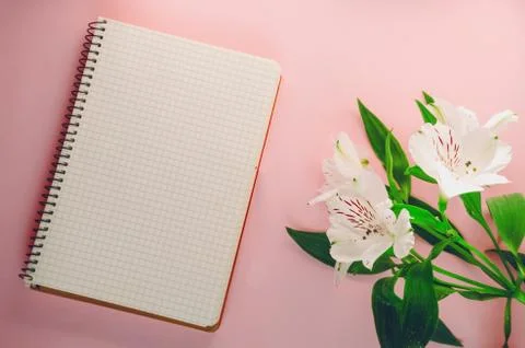 Notepad empty. recording and planning. flowers are white. Stock Photos