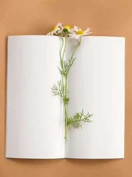 Notepad with flower Stock Photos
