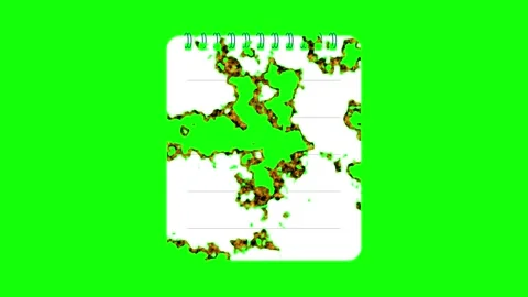 Notepad Flying Isolated Green Screen Stock Video Video stock 337166073