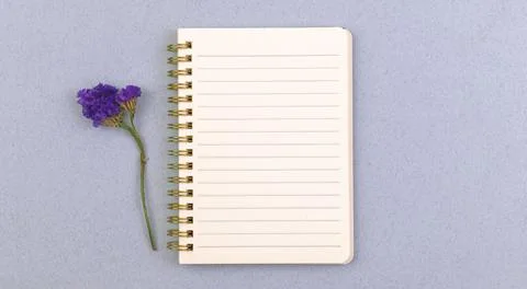 Notepad mockup with dried flower, flat lay background with copy space Stock Photos