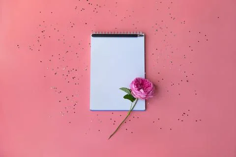 Notepad with a pen on a pink background Stock Photos