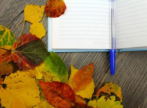 Notepad with pen on a wooden table with fallen leaves Stock Photos