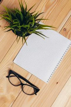 Notepad pens documents desk glasses flower potted office Stock Photos