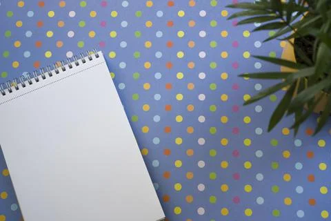 Notepad, Plant, Bright background. Records, Ideas. Stock Photos