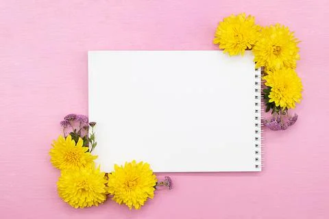 Notepad, space for notes, white sheet with yellow and lilac chrysanthemums Stock Photos