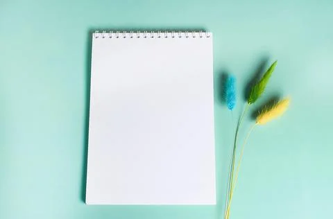Notepad with spring and dried lagurus flowers Stock Photos