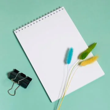 Notepad with spring, paper clips and dried lagurus flowers Stock Photos