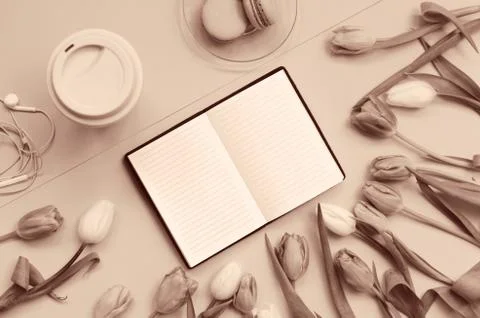 Notepad wish list for future plans. flat lay composition with flowers, a note Stock Photos