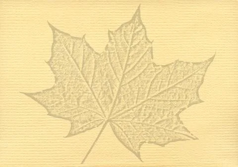 Notepaper document texture background with a cut out isolated maple leaf 写真素材
