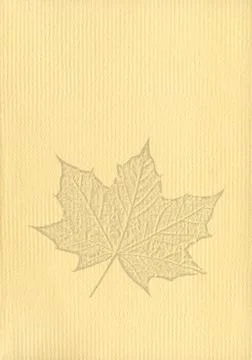 Notepaper document texture background with a cut out isolated maple leaf Stockfoto's