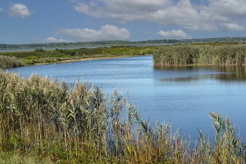 The noth pool located in parker river wild life refuge Stock Photos