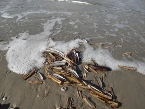 Noth sea Stock Photos