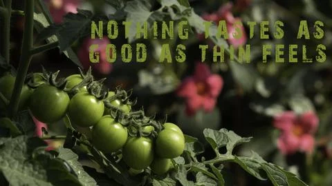 Nothing tastes as good as thin feels phrase. Fresh fruits and vegetables Stock Photos