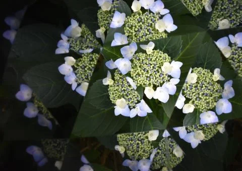 Nothing will be the same no matter what 写真素材