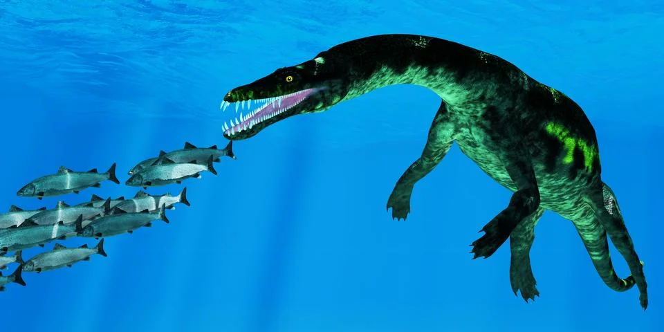 Nothosaurus attacks Salmon School 스톡 일러스트