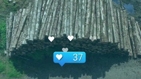Notification bubble popping up over log pile following heart icon, updating Video stock 313094528
