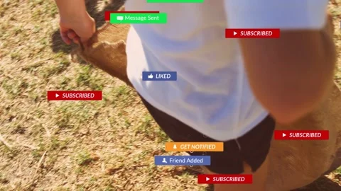 Notifications appearing, child grabbing burlap sack, stepping in and hopping, Stock Footage 333975642