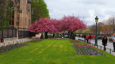 Notre Dame Cathedral 18  - Spring - Paris, France Stock Footage 25571150