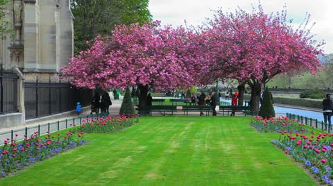 Notre Dame Cathedral 19  - Spring - Paris, France Stock Footage 25571415