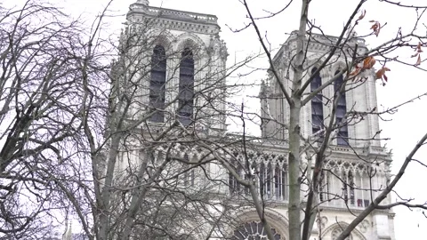 Notre Dame Cathedral Facade Framed by Bare Winter Trees in Paris Stock Footage 303781677