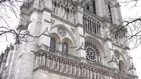 Notre Dame Cathedral Facade Framed by Winter Branches in Paris Stock Footage 303781899