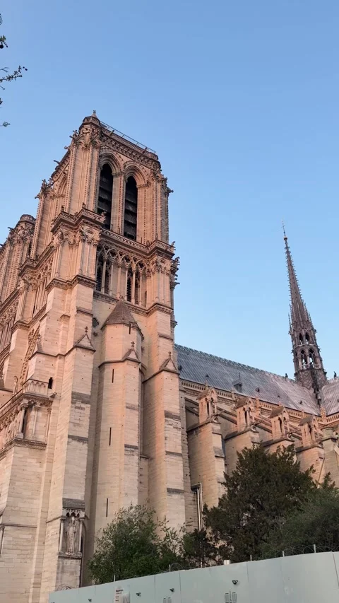 Notre-Dame Cathedral Glowing in Evening Light Paris Stock Footage 342051778