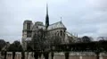 Notre Dame Cathedral in Paris, France, Seine River, French Boat Tour, Promenade HD Footage