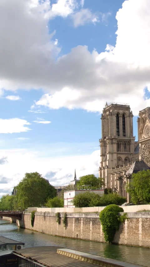 Notre Dame Cathedral Renovation View Across the Seine River in Paris 스톡 동영상 344619954