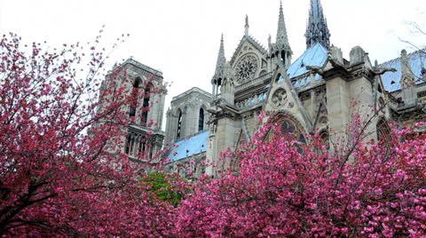 Notre Dame Cathedral - Spring  - Paris, France Stock Footage 24687534