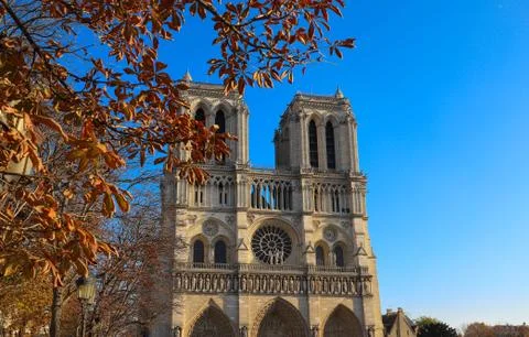 Notre Dame cathedral, view with fall tree leaves, Paris . Stock Photos