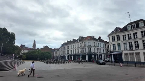 Notre-Dame-de-la-Treille Cathedral in Lille France Stockbeeldmateriaal 344591854