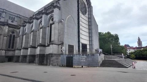 Notre-Dame-de-la-Treille Cathedral in Lille France 스톡 동영상 344591924