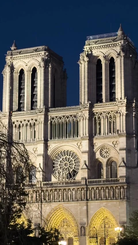 Notre Dame de Paris Cathedral illuminating french capital against dark blue Stock Footage 342350866